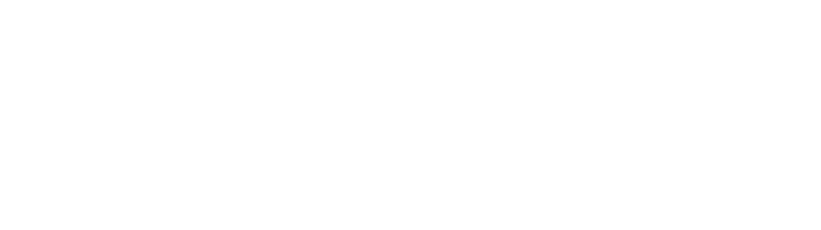 Leaders in Life Logo